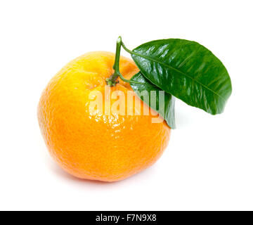 Gut gewachsene Mandarine mit Blatt Stockfoto