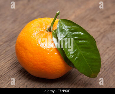 Gut gewachsene Mandarine mit Blatt Stockfoto