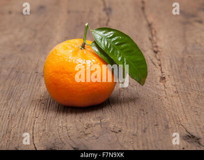 Gut gewachsene Mandarine mit Blatt Stockfoto