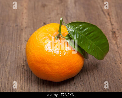 Gut gewachsene Mandarine mit Blatt Stockfoto