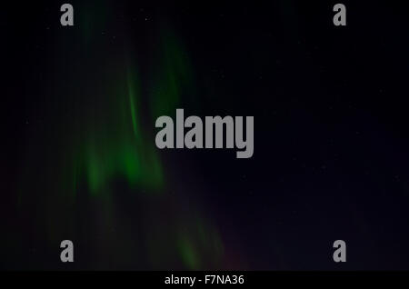 gelassene lebendige Nordlicht am herbstlichen Nachthimmel Stockfoto