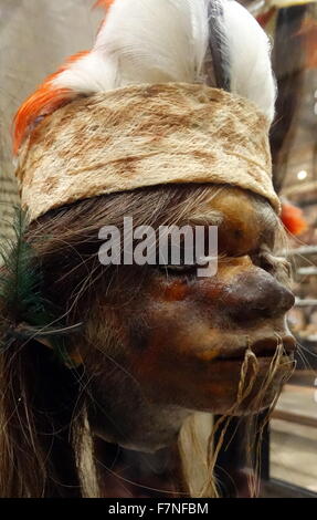 Tsantsas - Schrumpfkopf aus den Shuar-Stämmen. Schrumpfköpfe sind abgetrennt und speziell vorbereiteten menschliche Köpfe, die für die Trophäe, Ritual oder Handelszwecke verwendet werden. Datiert 1890 Stockfoto