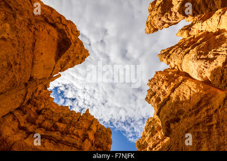 Ansicht von unten auf den orangefarbenen Bryce Canyon-Felsen Stockfoto