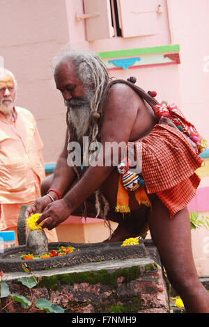 Naga Sadhu verehren Shiva Linga Kumbh Mela, Nasik, Maharashtra, Indien Stockfoto