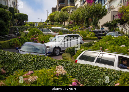 Autofahren in kurvige Lombard Street, San Francisco Stockfoto