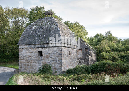 Alten Taubenschlag bei Penmon auf Anglesey im Norden von Wales. Stockfoto