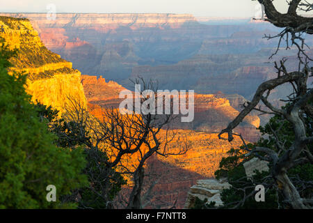 Blick auf den Grand Canyon nach Sonnenaufgang, USA Stockfoto