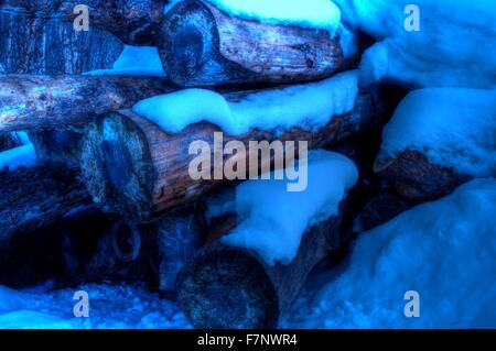 lebendige Stapel von riesigen Kiefer Baumstämmen mit Schnee bedeckt Stockfoto