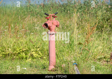Red Fire Hydrant auf dem Hintergrund der grünen Rasen Stockfoto