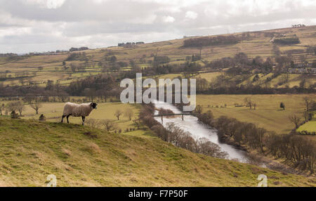 Malerische Aussicht des Flusses Tees in der Nähe von Dorf der Middleton-in-Teesdale im Nordosten Englands. Stockfoto