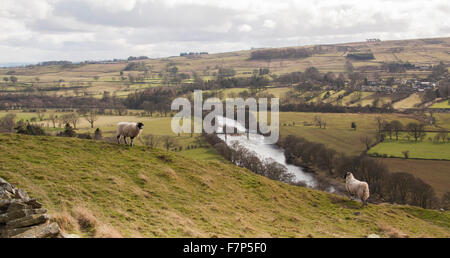 Malerische Aussicht des Flusses Tees in der Nähe von Dorf der Middleton-in-Teesdale im Nordosten Englands. Stockfoto