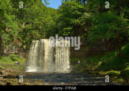 Sgwd yr Eira Wasserfall, Afon Hepste Fluss Brecon Beacons, Wales Stockfoto