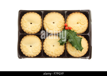 Mince Pies in einem Kunststoff Karton mit einem Zweig der Stechpalme isoliert gegen weiß Stockfoto