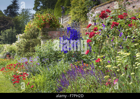 Blumen blühen in einem Randbereich der Sommer auf der Terrasse der Orangerie, Powis Castle Garden, Powys, Wales, im Juli. Stockfoto