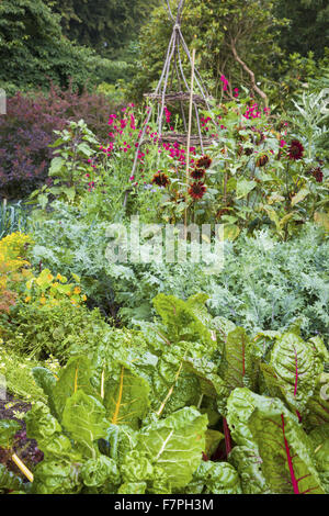 Blumen und Gemüse wachsen im Küchengarten, Dunham Massey, Cheshire, im August. Stockfoto