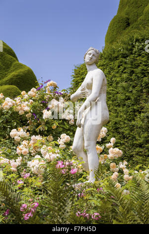 Eine klassische Statue, umgeben von Tumbling Rosen, Clematis und Farne auf der Orangerie-Terrasse am Powis Castle und Garten, Powys, Wales, an einem sonnigen Tag im Juli. Stockfoto