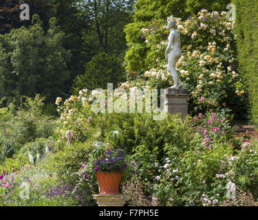 Eine klassische Statue, umgeben von Tumbling Rosen, Clematis und Farne auf der Orangerie-Terrasse am Powis Castle und Garten, Powys, Wales, an einem sonnigen Tag im Juli. Stockfoto