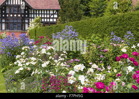 Ein Sommer-Blumen vor der Schutzhütte (jetzt ein National Trust-Ferienhaus) Powis Castle und Garten, Powys, Wales, im Juli. Blumen gezeigt sind Rosen, Bartfaden und Campanulas. Stockfoto