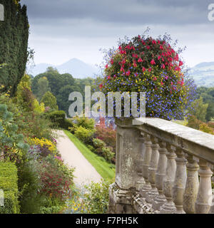 Blick von der blühenden Gartenterrassen Powis Castle und Garten, Powys, Wales, im September. Stockfoto