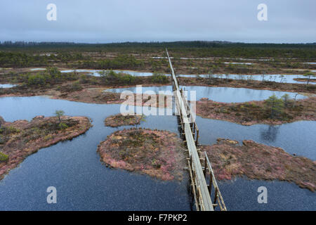 Gefrorenen Moor Pools im Männikjärve Moor, Estland Stockfoto