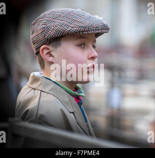 Uppingham, UK. 2. Dezember 2015. Die Landwirtschaft bei der 109. Weihnachten Fatstock Jahresausstellung von Rindern, Schweinen und Schafen in Uppingham, Rutland auf Mittwoch, 2. Dezember 2015. Bildnachweis: Vermischtes/Alamy Live News Stockfoto