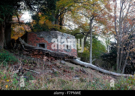 Eine Kiste aus dem Zweiten Weltkrieg auf der Route des North Surrey Downs Way.Sie bildeten das Rückgrat der britischen Verteidigung gegen die deutsche Invasion in den 1940er Jahren. Stockfoto