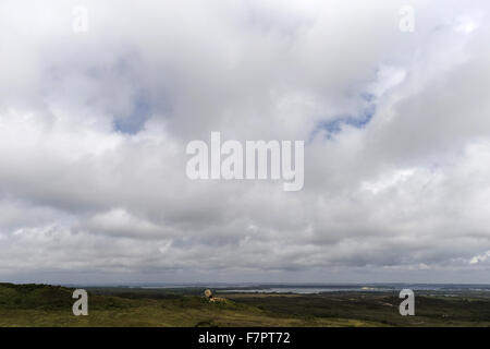 Blick auf Godlingston Heath, mit den Agglestone gesehen in der Mitte Purbeck Landschaft, Dorset. Die Agglestone steht ein 400 Tonnen Eisenstein Felsen auf Godlingston Heath. Es gibt mehr als 54 Meilen von Wanderwegen und Reitwegen Besucher in Purbe erkunden Stockfoto