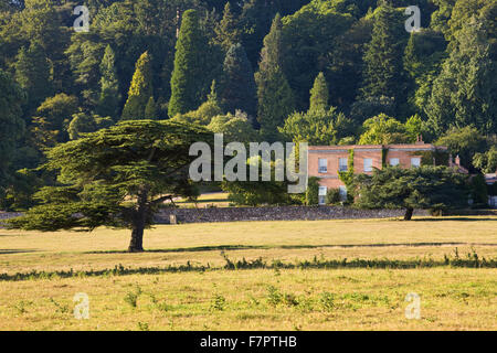 Blick über den Park, um das Haus am Killerton, Devon, im September. Stockfoto