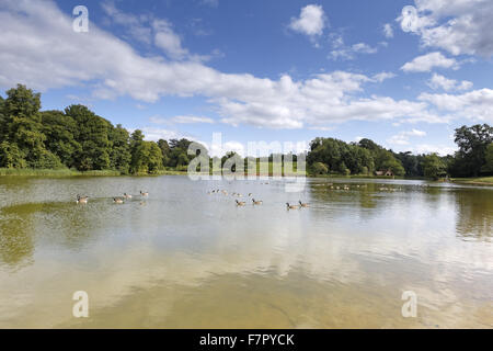 Der große Pool auf dem Landgut Dudmaston, Shropshire. Stockfoto