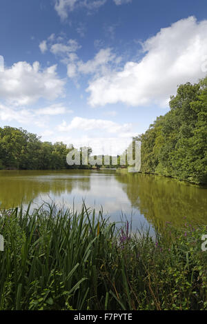 Großer Pool auf dem Landgut Dudmaston, Shropshire. Stockfoto