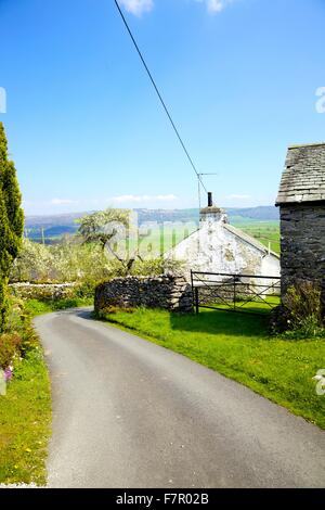 Lyth Tal. Straße, die durch die Howe Dorf mit Pflaumenmus Bäume blühen im Garten. Lyth Valley, Lake District, Cumbria. Stockfoto