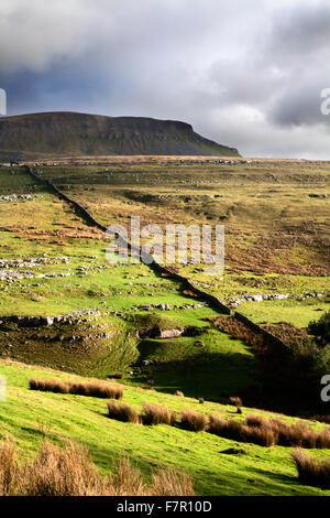 Pen-Y-Gent von Horton Narbe Lane Horton in Ribblesdale North Yorkshire England Stockfoto