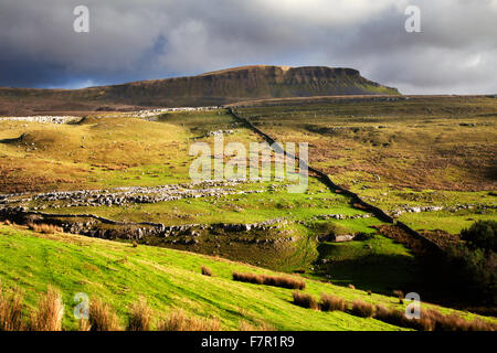 Pen-Y-Gent von Horton Narbe Lane Horton in Ribblesdale North Yorkshire England Stockfoto