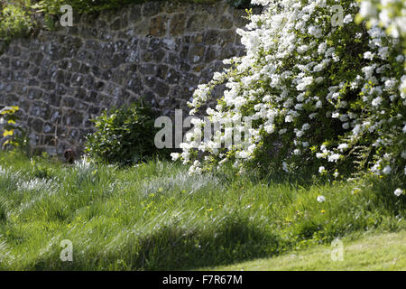 Der Garten in Chartwell, Kent. 1922 kaufte Winston Churchill Chartwell, und es war seine Familie zu Hause für die nächsten 40 Jahre. Stockfoto