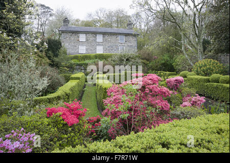 Garten vor dem Haus bei Plas Yn Rhiw, Gwynedd. Der Garten enthält Feld umrandeten Fächer und Sträucher einschließlich helle Azaleen. Stockfoto