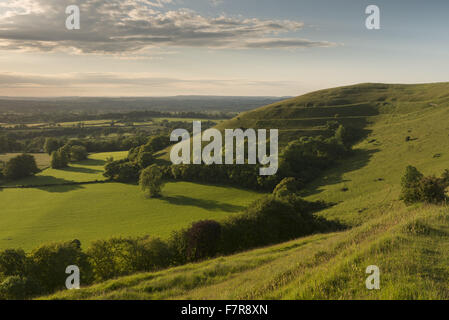 Hambledon Hill, Dorset. Der Hügel ist einer prähistorischen Wallburg und National Nature Reserve, gelegen in der Blackmore Vale, in der Nähe von Blandford Forum. Stockfoto