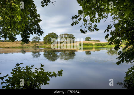 Der See in Felbrigg Hall, Gärten und Anwesen, Norfolk. Stockfoto