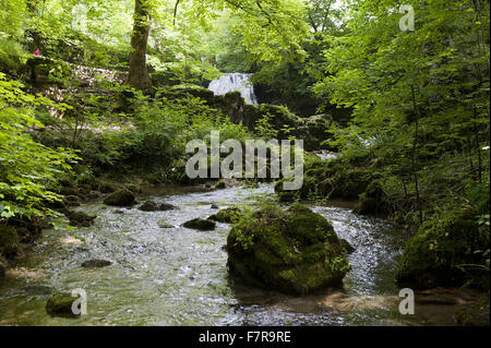 Janets Foss, Teil des Anwesens Malham Tarn, North Yorkshire. Janets Foss ist ein Wasserfall in den Yorkshire Dales National Park. Stockfoto