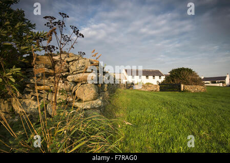 Das Dorf Kearney County Down. Der National Trust kaufte die Mehrheit des Dorfes im Jahr 1965, mit dem letzten Teil, vier Jahre später an das Vertrauen gegeben. Stockfoto