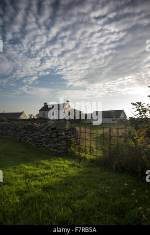 Das Dorf Kearney County Down. Der National Trust kaufte die Mehrheit des Dorfes im Jahr 1965, mit dem letzten Teil, vier Jahre später an das Vertrauen gegeben. Stockfoto