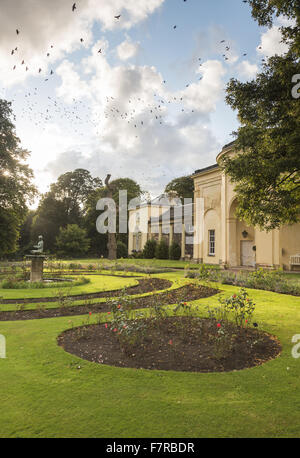 Die Orangerie in Nostell Priory und Parkland, West Yorkshire. Das Herrenhaus wurde auf dem Gelände eines mittelalterlichen Klosters erbaut. Stockfoto