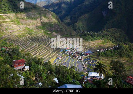 Batad Reisterrassen, Teil des UNESCO World Heritage Site von Banaue, Luzon, Philippinen, Südostasien, Asien Stockfoto