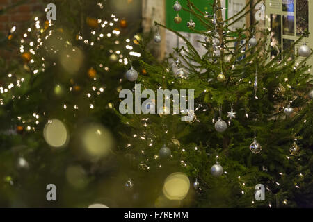 Detail der geschmückten Weihnachtsbäume an Trelissick, Cornwall. Stockfoto