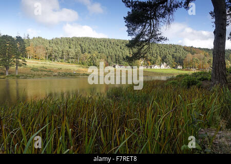 Blick über Tumbleton See, mit den Stallungen sehen in der Ferne, Cragside, Northumberland. Stockfoto