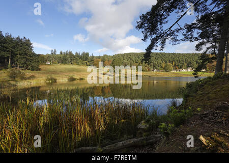 Blick über Tumbleton See, mit den Stallungen sehen in der Ferne, Cragside, Northumberland. Stockfoto