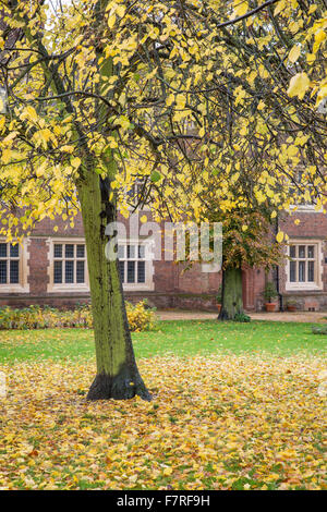 Eastbury Manor House, Essex. Eastbury ist ein gemauertes Tudor Gentry-Haus. Stockfoto