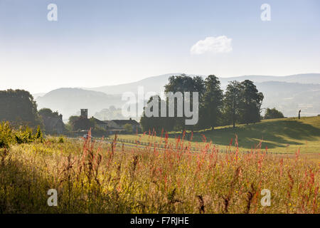 Ansicht vom Park in Richtung Llandeilo Dinefwr, Carmarthenshire, Wales. Dinefwr ist National Nature Reserve, historisches Haus und aus dem 18. Jahrhundert Landschaftspark, umschließt eine mittelalterliche Wildpark. Stockfoto