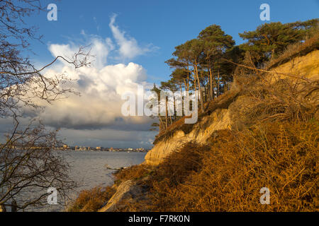 In der Nähe von Keramik Pier auf Brownsea Island, Dorset. Dieses Naturschutzgebiet Insel ist ein Paradies für Wildtiere wie Eichhörnchen und eine Vielzahl der Vögel. Stockfoto