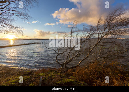 In der Nähe von Keramik Pier auf Brownsea Island, Dorset. Dieses Naturschutzgebiet Insel ist ein Paradies für Wildtiere wie Eichhörnchen und eine Vielzahl der Vögel. Stockfoto