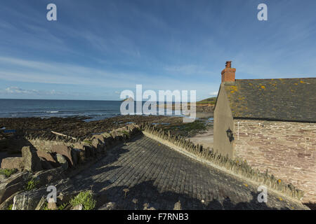 Wembury, Devon. Wembury ist ein toller Strand mit einigen der besten Rock-Pools im Land. Stockfoto